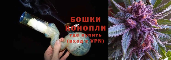 ГАЛЛЮЦИНОГЕННЫЕ ГРИБЫ Карталы