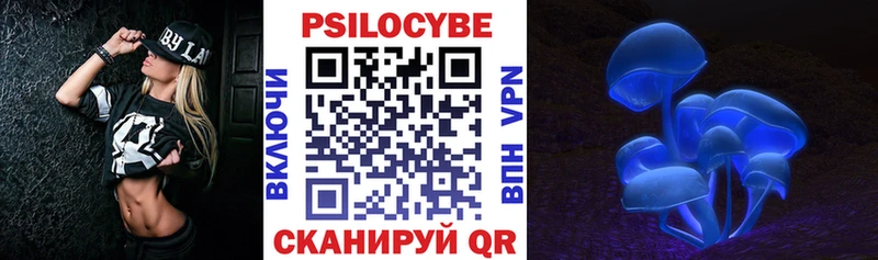 Купить где  Пустошка  Псилоцибиновые грибы Psilocybine cubensis 