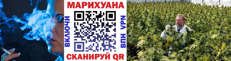 Купить закладки  Пустошка  Бошки марихуана марихуана 